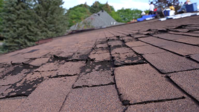 Best Roof Leak Repair  in Brentwood, CA