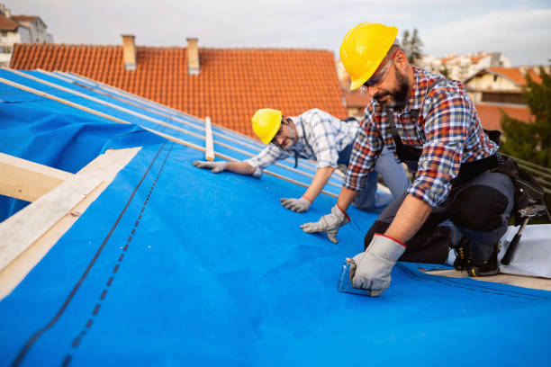 Best Roof Insulation Installation  in Brentwood, CA