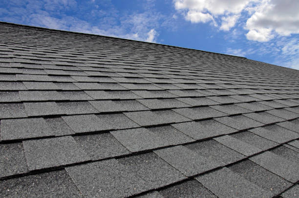 Best Skylight Installation and Repair  in Brentwood, CA