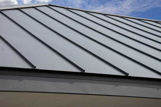 Best Roof Moss and Algae Removal  in Brentwood, CA