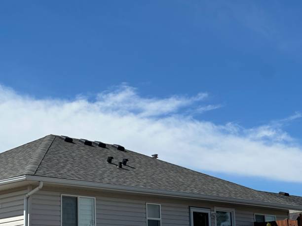 Best Gutter Installation and Repair  in Brentwood, CA